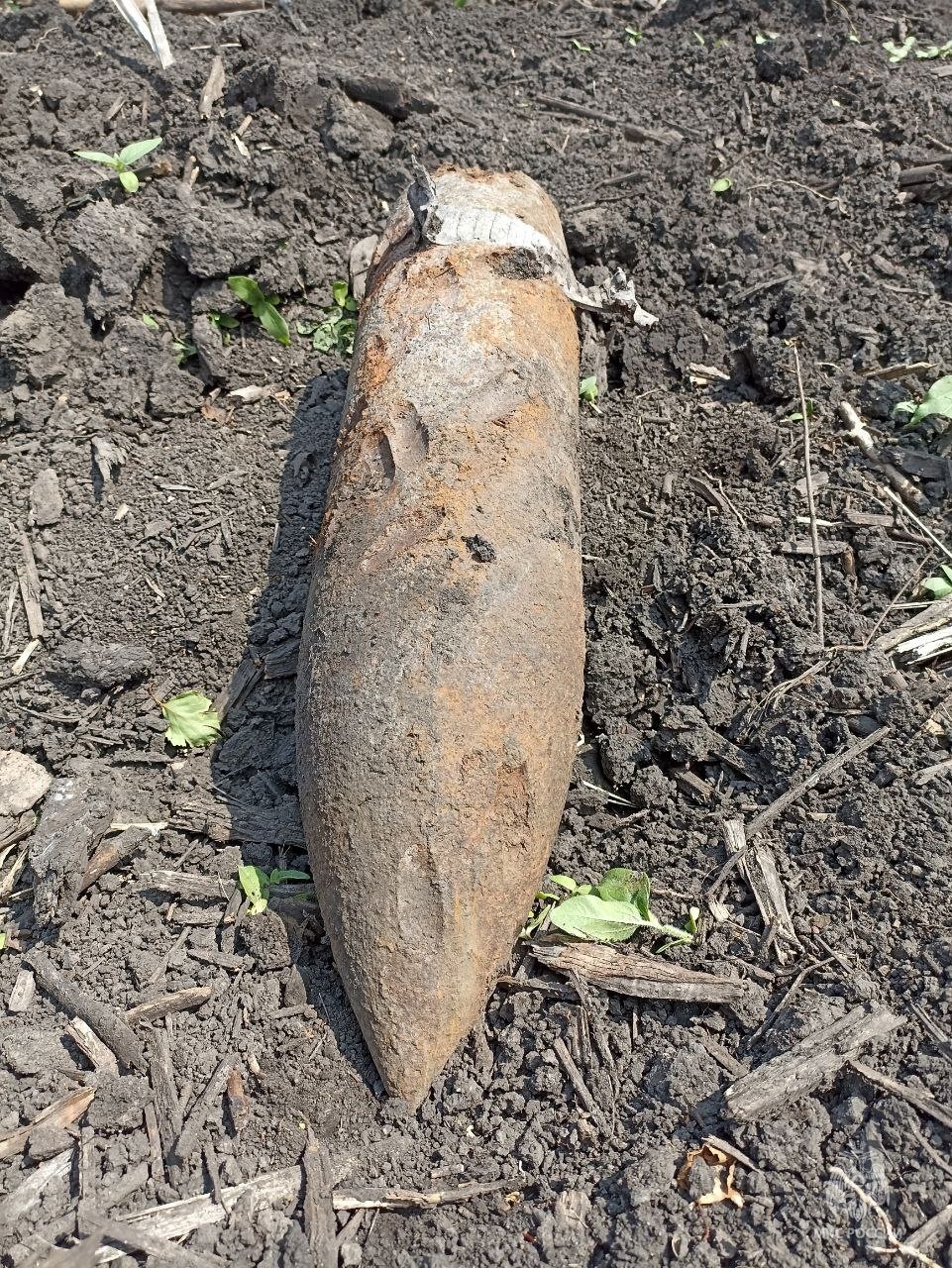 В поселке Искра Корочанского района обнаружен  взрывоопасный предмет