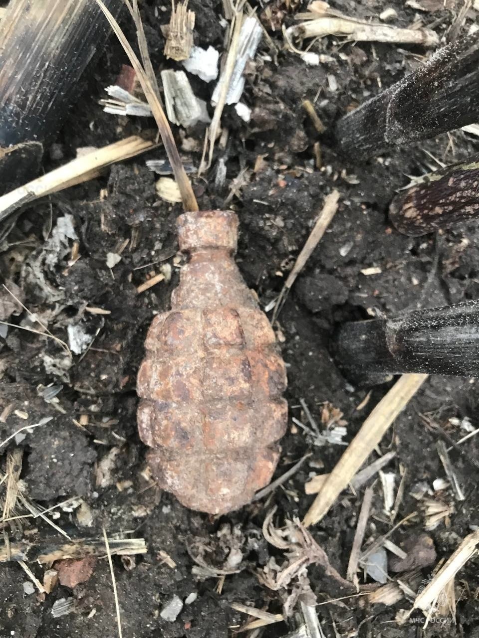 В селе Клиновец Корочанского района обнаружен взрывоопасный предмет